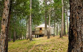 Yosemite Lakes Hillside Yurt 13